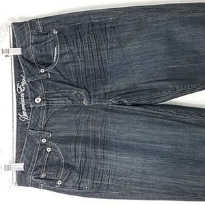 American Eagle Women's Jeans Size 10R